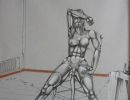 baert 61x48