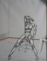 baert 61x48