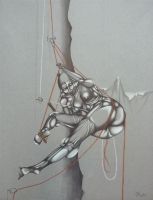 baert 62x47
