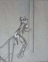 baert 62x48