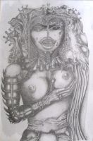 baert 68x45
