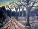 clevers 67x50