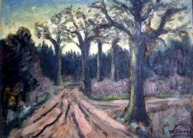 clevers 67x50