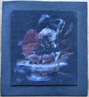 thienpont 32x29