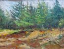oosterlynck 25x16