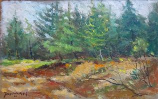 oosterlynck 25x16 oosterlynck 25x16