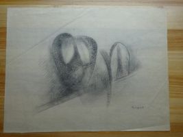 thienpont gt  